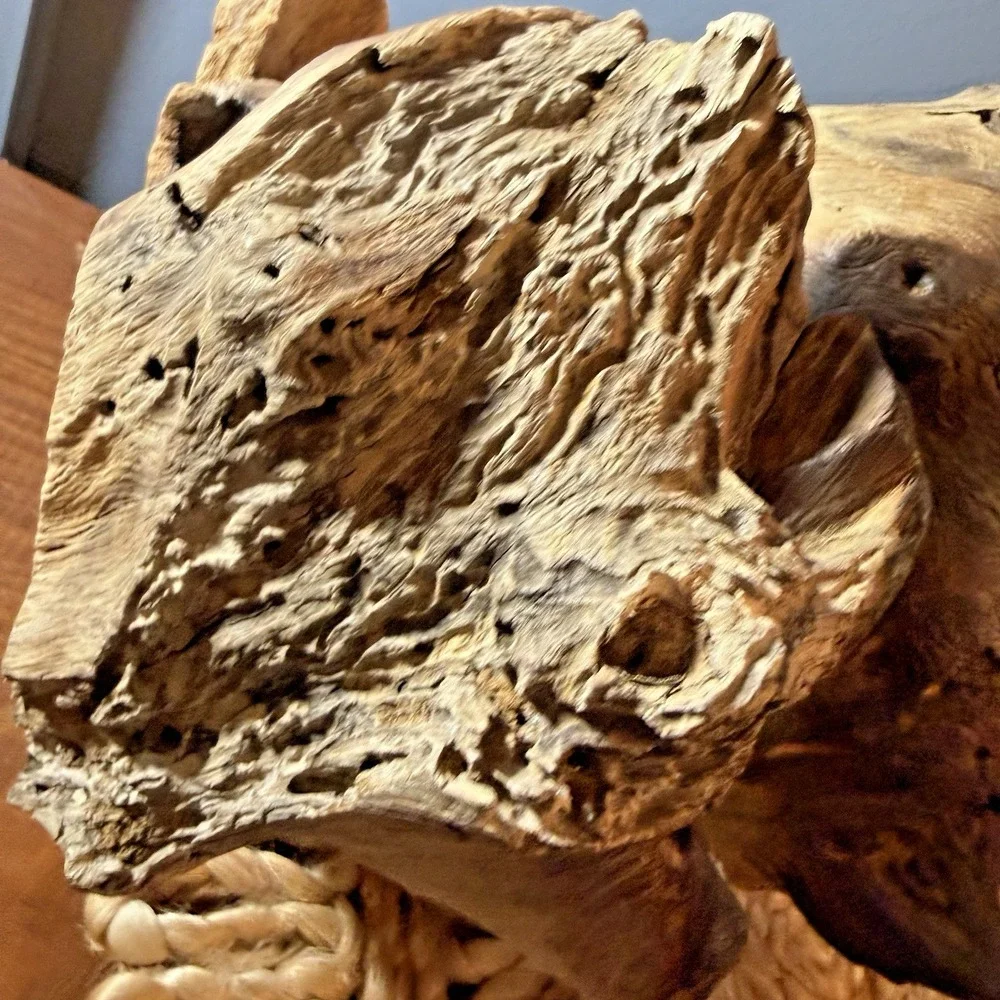 Natural Driftwood Sculpture 12